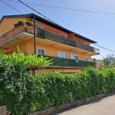 Apartments Mirkovic 采蒂涅 外观 照片