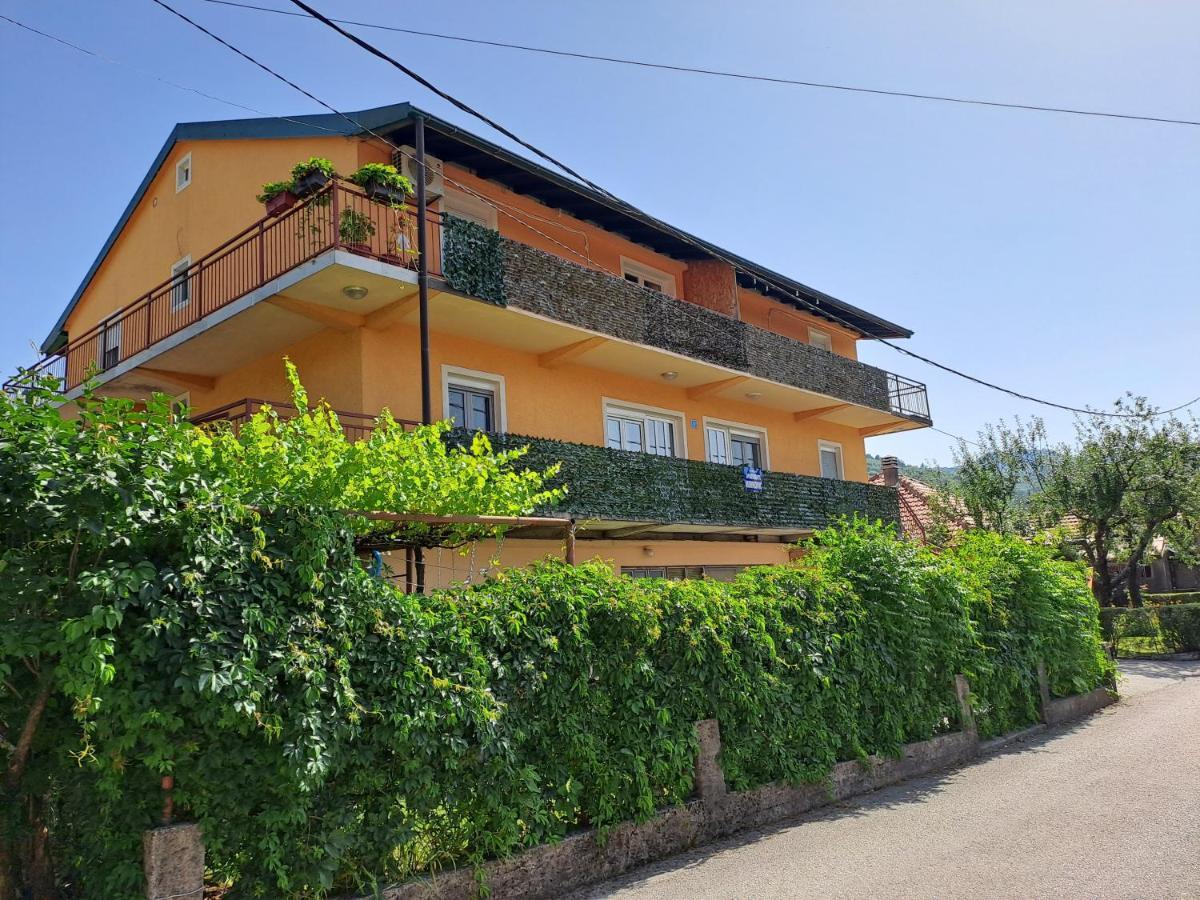 Apartments Mirkovic 采蒂涅 外观 照片