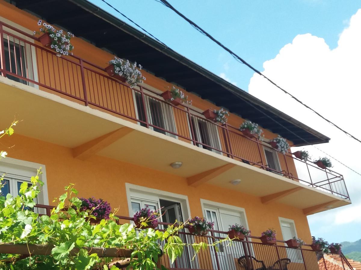 Apartments Mirkovic 采蒂涅 外观 照片