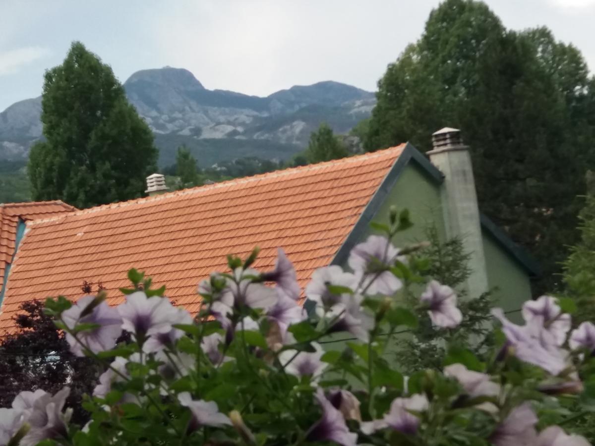 Apartments Mirkovic 采蒂涅 外观 照片