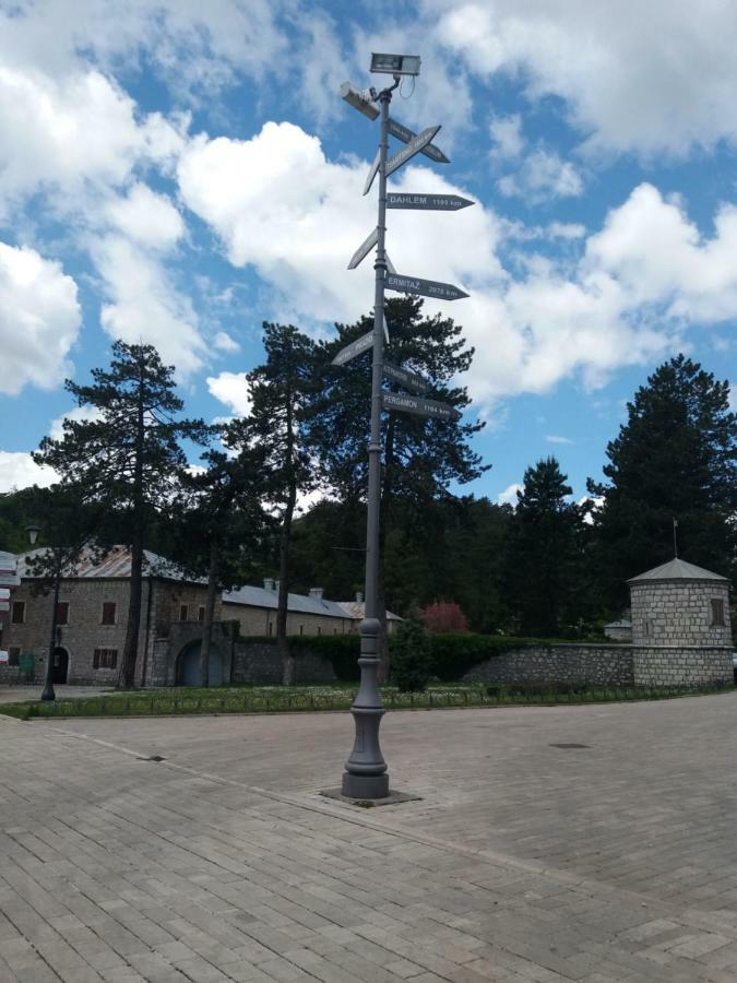 Apartments Mirkovic 采蒂涅 外观 照片