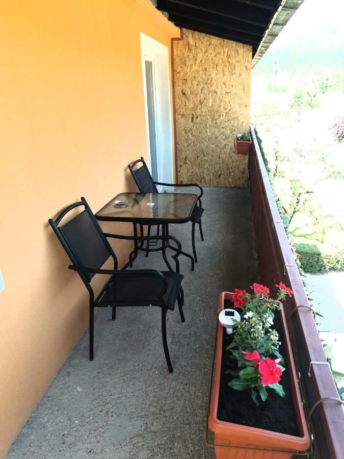 Apartments Mirkovic 采蒂涅 外观 照片